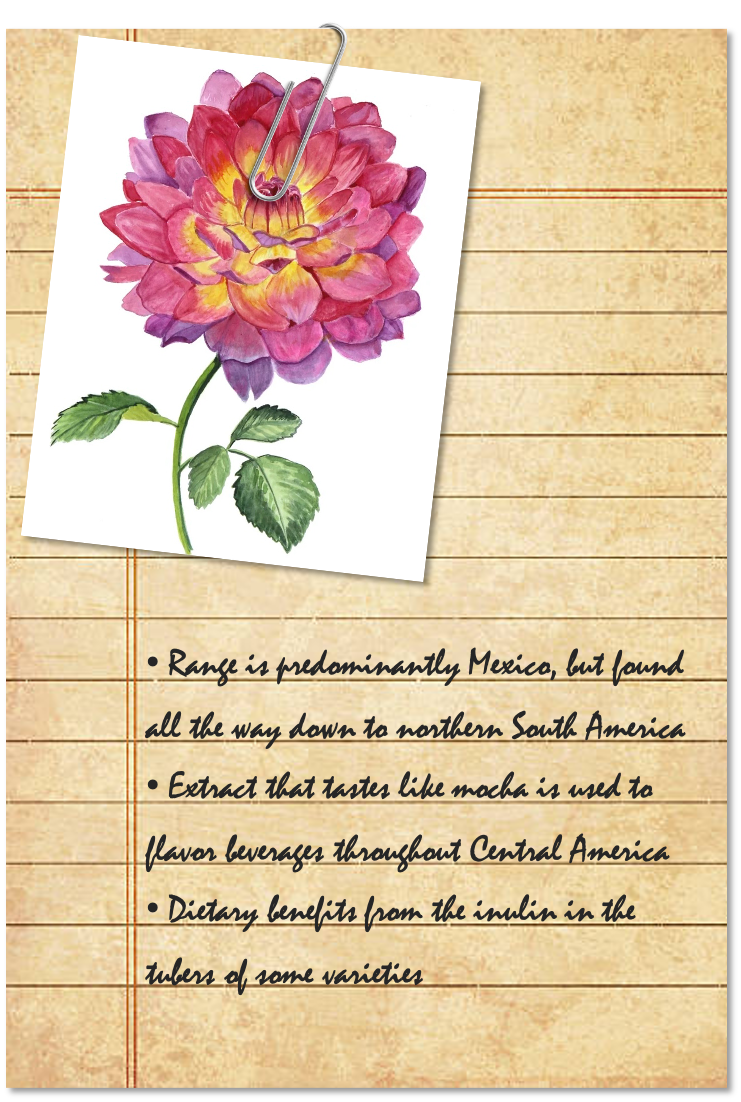 Field Notes 1