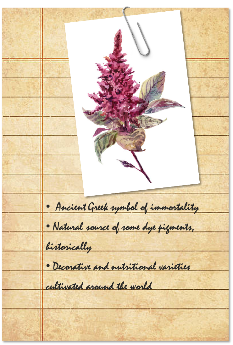 Field Notes 2