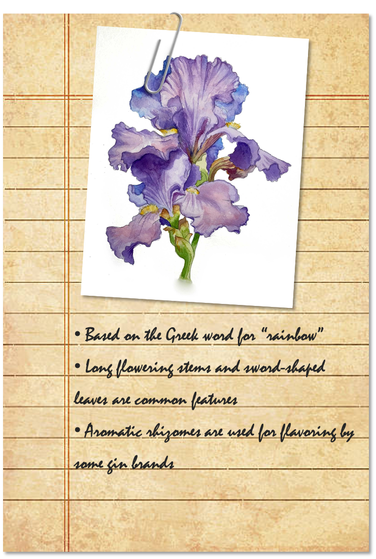 Field Notes 3