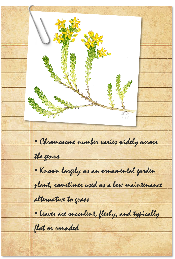 Field Notes 4