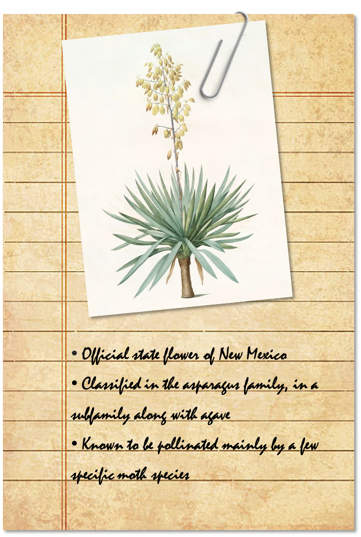 Field Notes 5